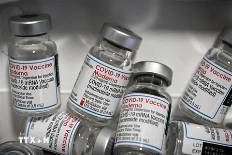 Vaccine ngừa COVID-19 của Hãng dược phẩm Moderna. (Ảnh: AFP/TTXVN)