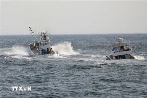 Các tàu cá tham gia tìm kiếm những người mất tích sau vụ chìm tàu du lịch ngoài khơi bờ biển Hokkaido, miền Đông Nhật Bản ngày 24/4/2022. (Ảnh: AFP/TTXVN)