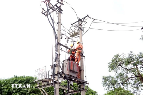 Điện lực thành phố Hải Dương tiến hành vệ sinh lưới điện, khắc phục các khiếm khuyết có nguy cơ xảy ra sự cố đối với đường dây cấp điện. (Ảnh: Mạnh Tú/TTXVN)
