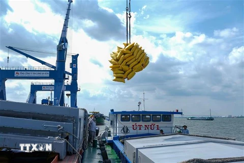 Bốc dỡ hàng hóa tại cảng Tân Cảng Cái Cui, thành phố Cần Thơ. (Ảnh: Thanh Liêm/TTXVN)
