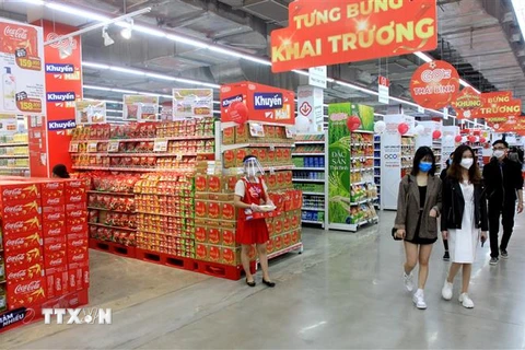 Trung tâm Thương mại và Đại siêu thị GO! Thái Bình. (Ảnh: Thế Duyệt/TTXVN)