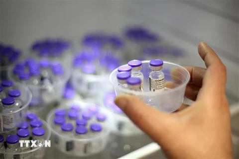  Vaccine phòng COVID-19 của Pfizer-BioNTech. (Ảnh: AFP/TTXVN)