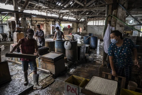 Các nhân viên làm đậu phụ tại một nhà máy nhỏ ở Surabaya. (Nguồn: AFP)