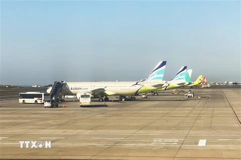 Máy bay của hãng hàng không Busan (Hàn Quốc) đang trả khách tại Sân bay Quốc tế Jeju. (Ảnh: Anh Nguyên/TTXVN)
