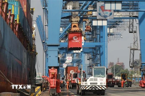 Hoạt động bốc dỡ hàng hóa tại Tân cảng Cát Lái, Tổng Công ty Tân cảng Sài Gòn. (Ảnh: Quang Châu/TTXVN)