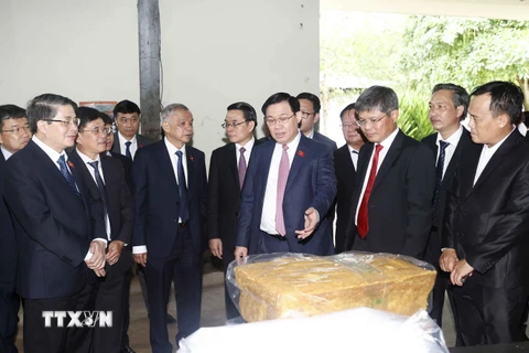 Chủ tịch Quốc hội Vương Đình Huệ thăm Công ty TNHH Cao su Việt-Lào