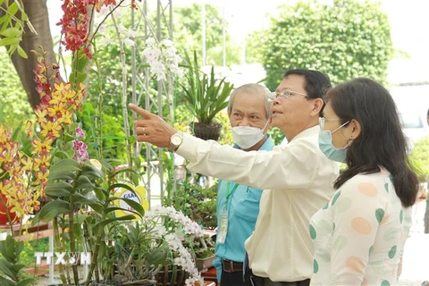 Các đại biểu tham quan khu trưng bày tác phẩm dự Hội thi hoa lan-bonsai thành phố Thủ Đức. (Ảnh: Xuân Anh/TTXVN)