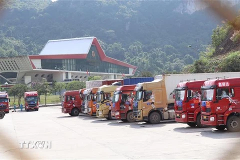 Tất cả phương tiện chở hàng hóa xuất nhập khẩu tại Cửa khẩu quốc tế Hữu Nghị được khai báo trực tuyến. (Ảnh: Quang Duy/TTXVN)