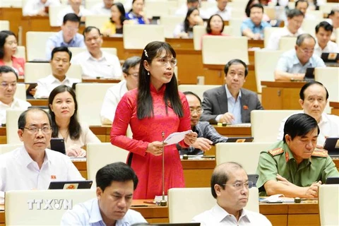 Đại biểu Quốc hội tỉnh Kiên Giang Châu Quỳnh Giao phát biểu. (Ảnh: Minh Đức/TTXVN)
