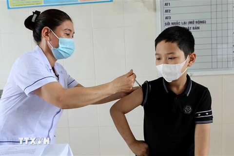 Tiêm vaccine phòng COVID-19 cho trẻ em tại tỉnh Thái Bình. (Ảnh: Thế Duyệt/TTXVN)