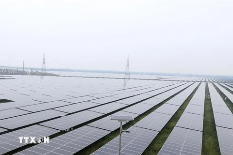 Những tấm pin năng lượng mặt trời của Nhà máy điện mặt trời Gio Thành 1, Quảng Trị. (Ảnh: Nguyên Lý/TTXVN)
