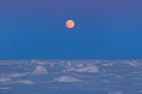 Mặt Trăng mọc trên lớp băng Bắc Cực gần Phòng thí nghiệm Vật lý Ứng dụng 2011 ở phía bắc Vịnh Prudhoe, Alaska, ngày 18 tháng 3 năm 2011. REUTERS / Lucas Jackson / File Photo