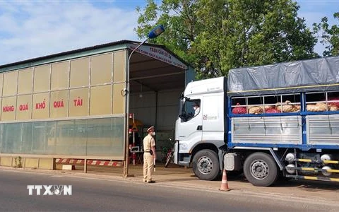 Lực lượng Cảnh sát Giao thông (Công an tỉnh Kon Tum) tạm dừng phương tiện để kiểm tra tải trọng tại trạm cân số 54 (đoạn trên Quốc lộ 14, thành phố Kon Tum). (Ảnh: Khoa Chương/TTXVN)