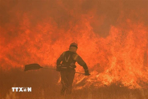 Nhân viên cứu hỏa nỗ lực khống chế các đám cháy rừng ở Pumarejo de Tera, bắc Tây Ban Nha, ngày 18/6/2022. (Ảnh: AFP/TTXVN)