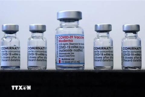 Vaccine ngừa COVID-19 của Pfizer/BioNTech và Moderna. (Ảnh: AFP/TTXVN)