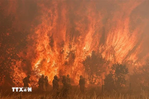 Lính cứu hỏa nỗ lực dập đám cháy rừng tại Pumarejo de Tera, gần Zamora, miền Bắc Tây Ban Nha, ngày 18/6/2022. (Ảnh: AFP/TTXVN)