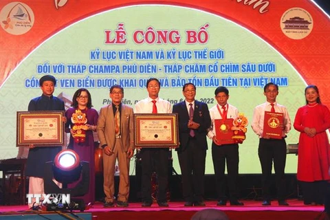 Tháp Chăm Phú Diên được công nhận đạt kỷ lục Thế giới. (Ảnh: Tường Vi/TTXVN)