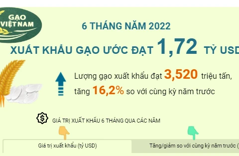 [Infographics] 6 tháng năm 2022: Xuất khẩu gạo ước đạt 1,72 tỷ USD