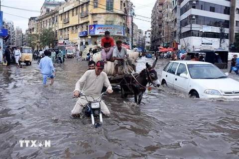 Cảnh ngập lụt tại thành phố Karachi, Pakistan ngày 9/7/2022. (Ảnh: THX/TTXVN)
