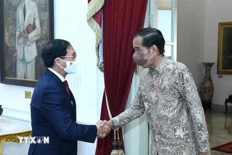 Bộ trưởng Ngoại giao Bùi Thanh Sơn tiếp kiến Tổng thống Indonesia Joko Widodo (Ảnh: TTXVN phát)