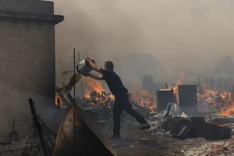 Một sỹ quan cảnh sát cố gắng dập tắt đám cháy rừng đang bùng cháy ở làng Vatera, Lesbos. (Nguồn: Reuters)
