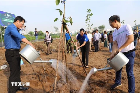 Đại diện Trung ương Đoàn và Thành Đoàn Thành phố Hồ Chí Minh tham gia trồng cây. (Ảnh: Hồng Giang/ TTXVN)
