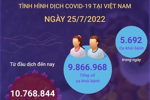 [Infographics] Cập nhật tình hình dịch COVID-19 tại Việt Nam ngày 25/7