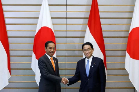 Thủ tướng Nhật Bản Fumio Kishida đã gặp Tổng thống Indonesia Joko Widodo tại Tokyo. (Nguồn: Reuters)