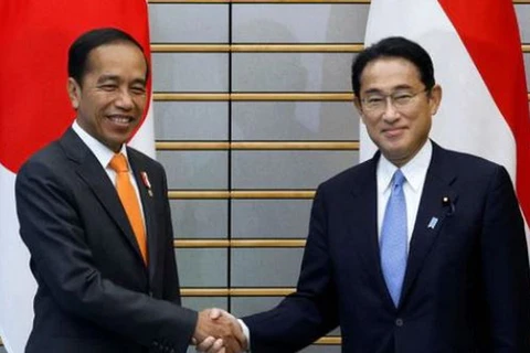 Thủ tướng Nhật Bản Fumio Kishida và Tổng thống Indonesia Joko Widodo tại Tokyo. (Nguồn: Reuters)