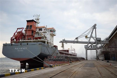 Tàu chở ngũ cốc neo tại cảng Chornomorsk, Ukraine ngày 29/7/2022. (Ảnh: AFP/TTXVN)