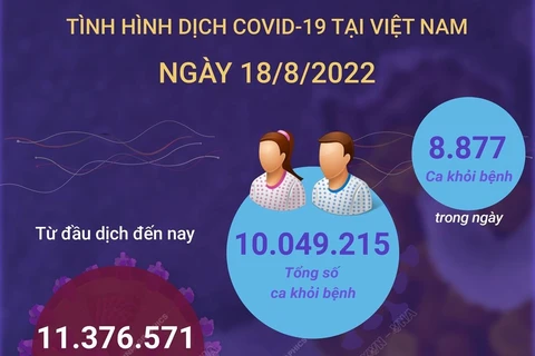[Infographics] Cập nhật tình hình dịch COVID-19 trong nước ngày 18/8