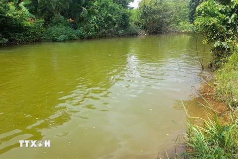 Hồ Suối Giai giáp với Đập Bà Mụ tại khu phố Tân Liên, thị trấn Tân Phú vừa xảy ra tai nạn trẻ em đuối nước. (Ảnh: TTXVN phát)