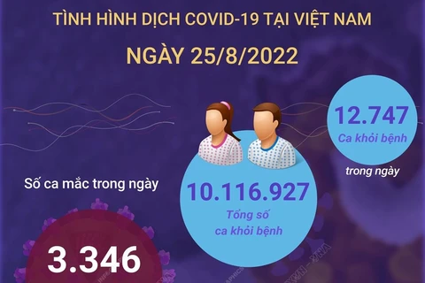 [Infographics] Cập nhật tình hình dịch COVID-19 trong nước ngày 25/8