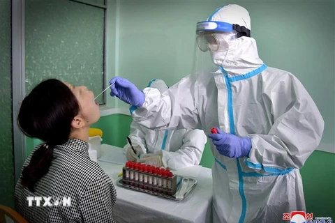 Nhân viên y tế lấy mẫu xét nghiệm COVID-19 cho người dân tại Bình Nhưỡng, Triều Tiên, ngày 10/6/2022. (Ảnh: AFP/TTXVN)