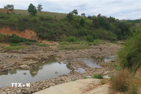 Sông Đăk Psi đoạn dưới chân đập thủy điện Đăk Psi 5 khô khốc vào mùa khô. (Ảnh: Dư Toán/TTXVN)