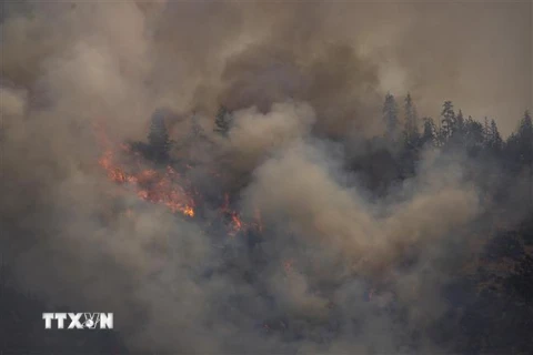 Khói lửa bốc lên từ đám cháy rừng ở bang California, Mỹ ngày 2/8/2022. (Ảnh: AFP/TTXVN)