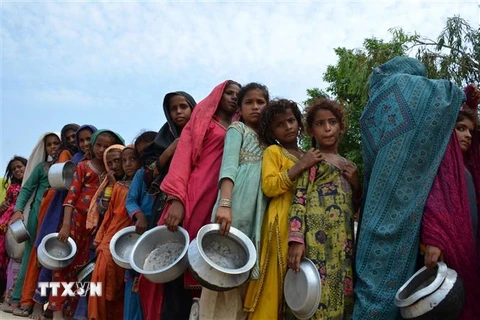 Người dân xếp hàng chờ nhận lương thực cứu trợ tại trại tị nạn ở Sehwan, tỉnh Sindh, Pakistan, sau khi phải rời bỏ nhà cửa tránh lũ lụt ngày 13/9/2022. (Ảnh: AFP/TTXVN)