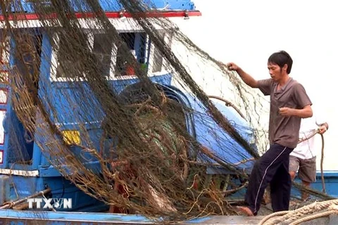 Ngư dân cất ngư cụ khi tàu thuyền vào tránh trú bão Noru. (Ảnh: Tá Chuyên/TTXVN)