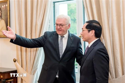Bộ trưởng Ngoại giao Bùi Thanh Sơn và Tổng thống Liên bang Đức Frank-Walter Steinmeier. (Ảnh: Mạnh Hùng/TTXVN)