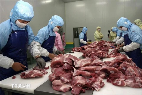 Công nhân chế biến thịt lợn tại nhà máy sản xuất xúc xích ở Hạ Môn, tỉnh Phúc Kiến, Trung Quốc. (Ảnh: AFP/TTXVN)