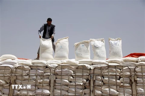 Các bao bột mỳ của Chương trình Lương thực Thế giới (WFP) được chuyển tới cảng Hodeidah, để phân phát cho người dân Yemen. (Ảnh: THX/TTXVN)