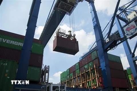 Hoạt động bốc dỡ hàng hóa tại Cảng Cát Lái, thành phố Thủ Đức, Tp. Hồ Chí Minh. (Ảnh: Hồng Đạt/TTXVN)