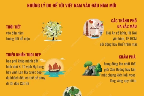 [Infographics] Việt Nam là điểm đến lý tưởng trong dịp đầu Năm mới