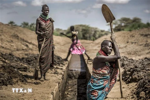 Người dân khơi thông một con kênh lấy nước ở Nanyee, Kenya trong bối cảnh hạn hán diện rộng. (Ảnh: AFP/TTXVN)