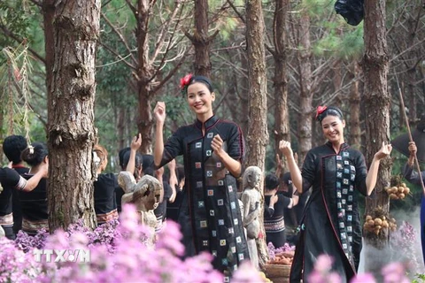 Những nét hoa văn thổ cẩm đặc sắc tại chương trình biểu diễn áo dài và thời trang Thổ cẩm Tây Nguyên được trình diễn ở thị trấn Măng Đen, huyện Kon Plông, tỉnh Kon Tum. (Ảnh: Khoa Chương/TTXVN)
