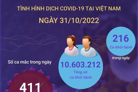 [Inforgraphic] Ngày 31/10: Có 411 ca COVID-19 mới, 216 F0 khỏi bệnh
