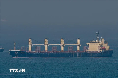 Tàu Rubymar chở ngũ cốc của Ukraine di chuyển qua Eo biển Bosphorus, ngoài khơi Kumkoy, phía Bắc Istanbul (Thổ Nhĩ Kỳ) trên Biển Đen ngày 2/11/2022. (Ảnh: AFP/TTXVN)