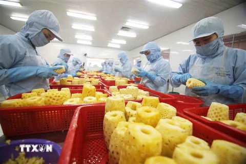 Chế biến sản phẩm dứa đóng hộp tại nhà máy của Công ty CP xuất nhập khẩu nông sản An Giang. (Ảnh: Vũ Sinh/TTXVN)