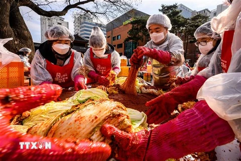 Người dân làm kim chi tại Seoul, Hàn Quốc. (Ảnh: AFP/TTXVN)