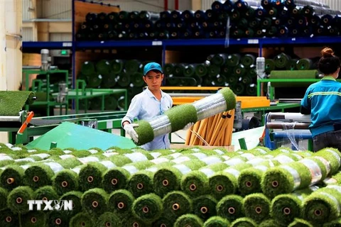 Sản xuất thảm cỏ nhân tạo tại Công ty TNHH CCGrass Việt Nam, khu công nghiệp Phước Đông, huyện Gò Dầu, Tây Ninh. (Ảnh: Hồng Đạt/TTXVN)